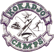 Kokadjo Cabin Rentals and Trading Post