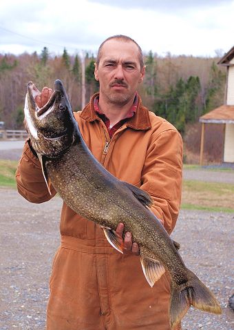 Maine Lake trout taken from First Roach Pond in Kokadjo