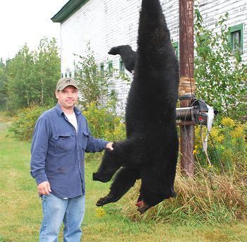 Maine bear hunting at Kokadjo