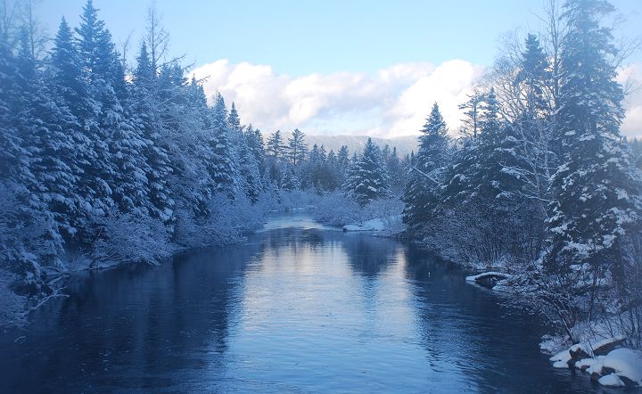 Roach Riverin Kokadjo during winter